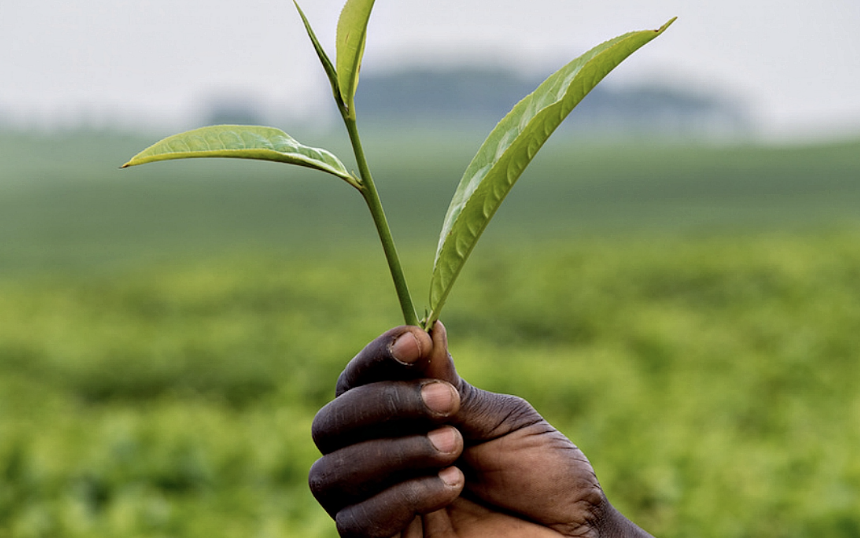 Climate Resilience for the Planet